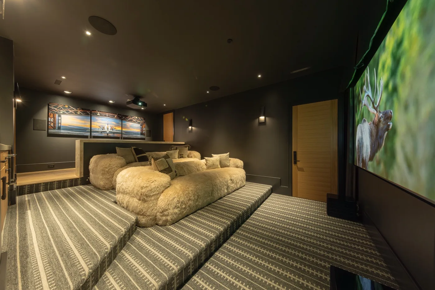 A dark home theater with tiered seating and a large screen showing wildlife.
