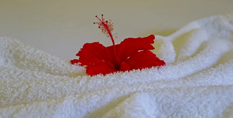 Towels — Superior Bungalows