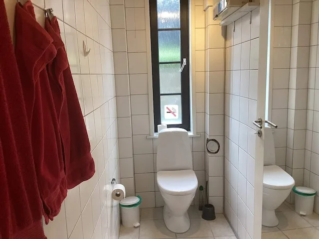 A tiled bathroom with a toilet beneath a narrow window.