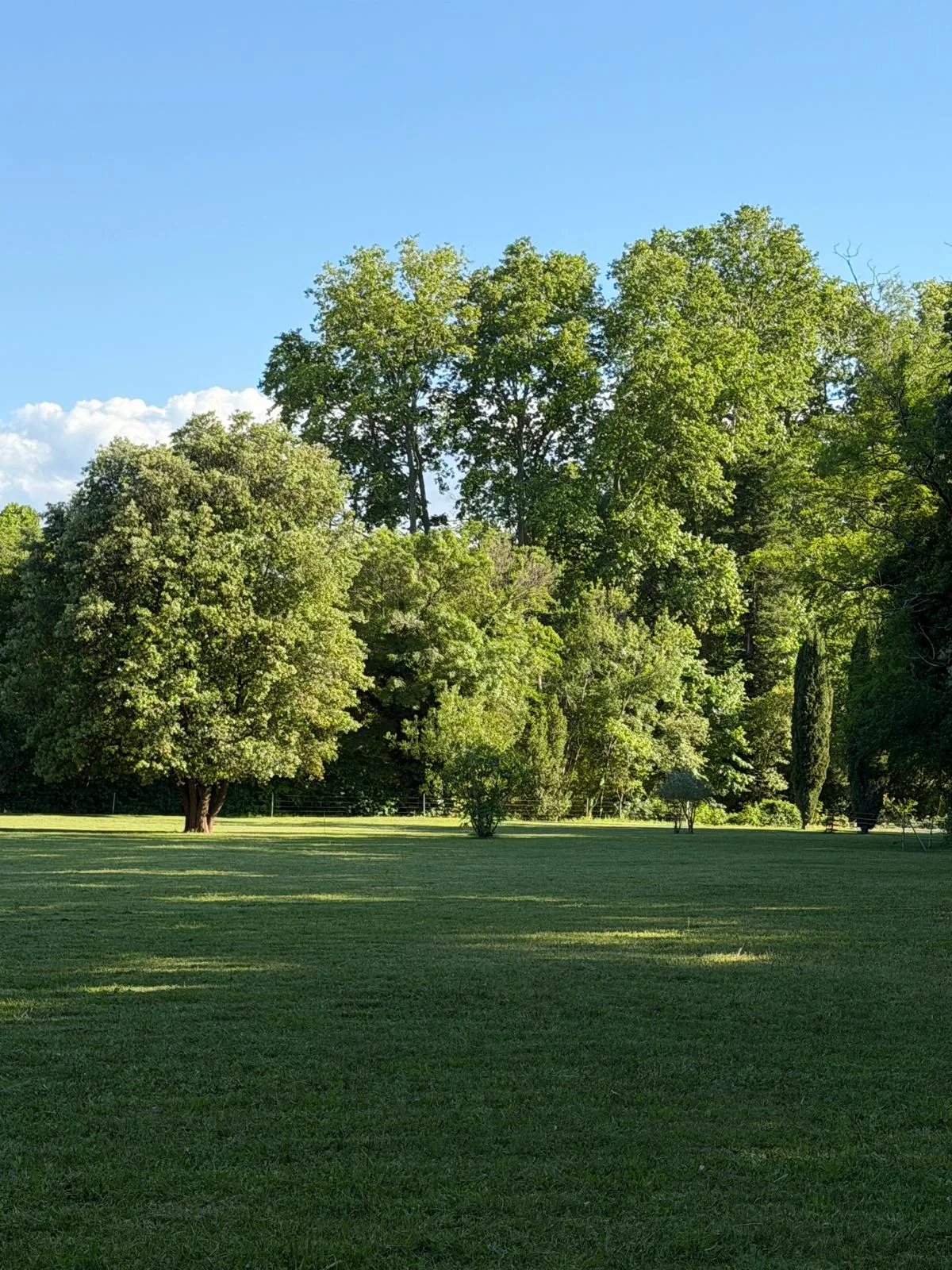 Terrenos de la casa de huéspedes