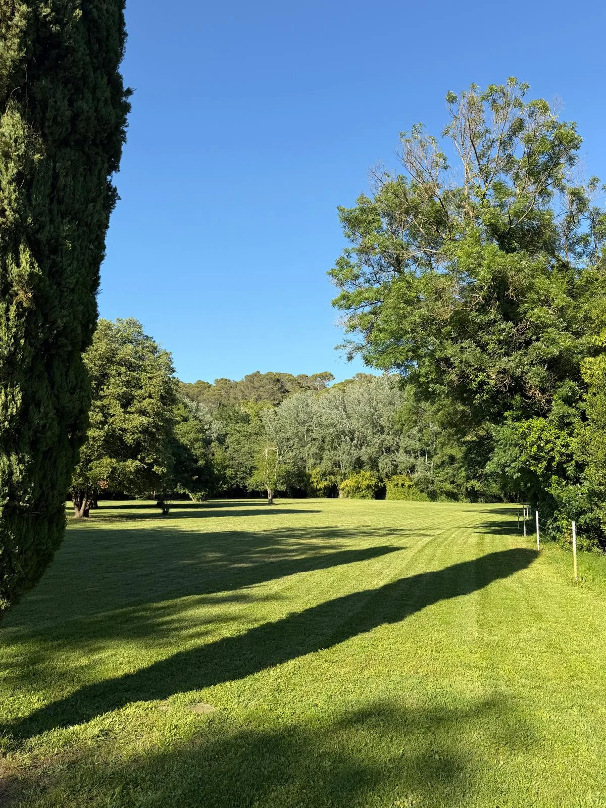 Terrenos de la casa de huéspedes