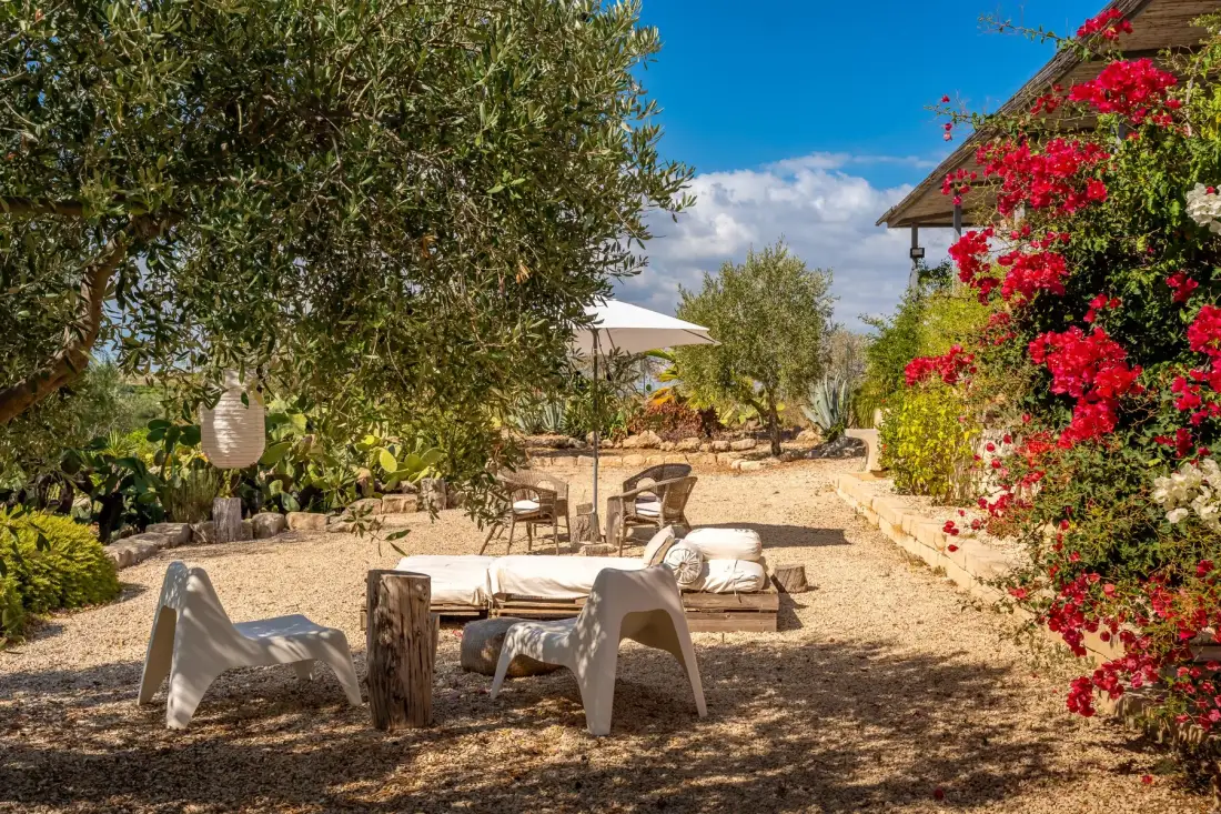 Un patio al aire libre con asientos bajos está rodeado de enredaderas y árboles en flor.