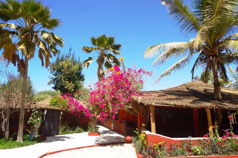 Jardín del hotel