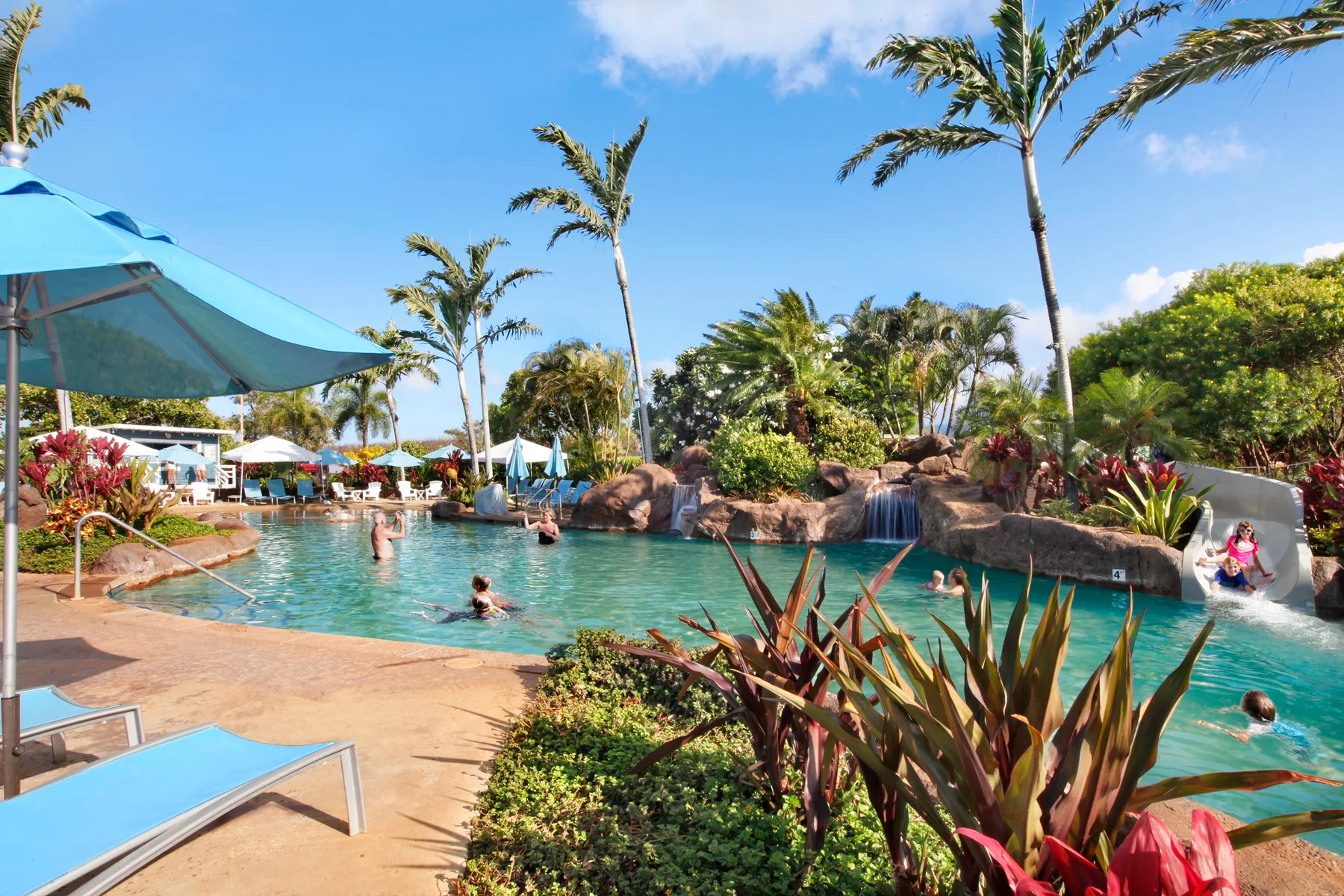 Una piscina rodeada de palmeras y vegetación tropical.