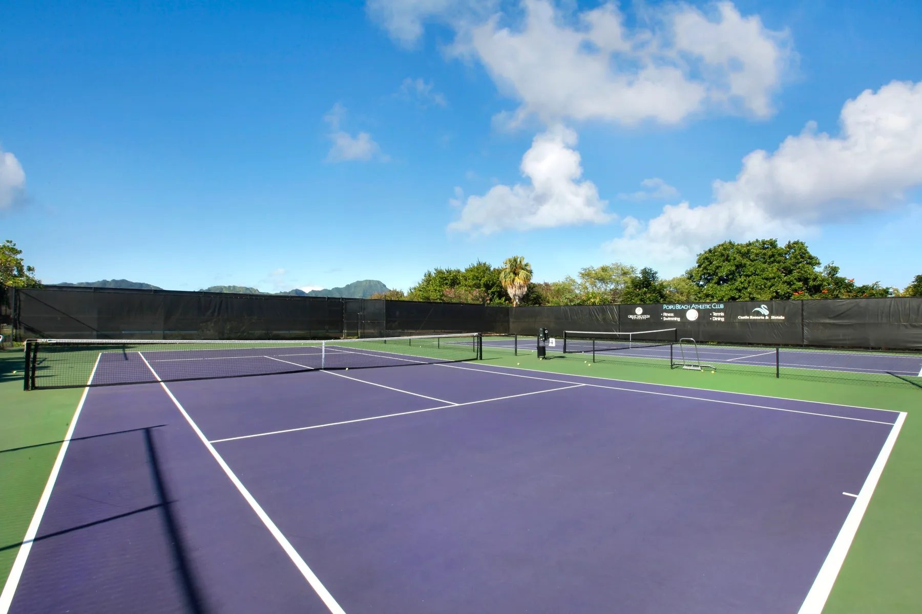 Canchas de tenis al aire libre con superficies moradas y bordes verdes.
