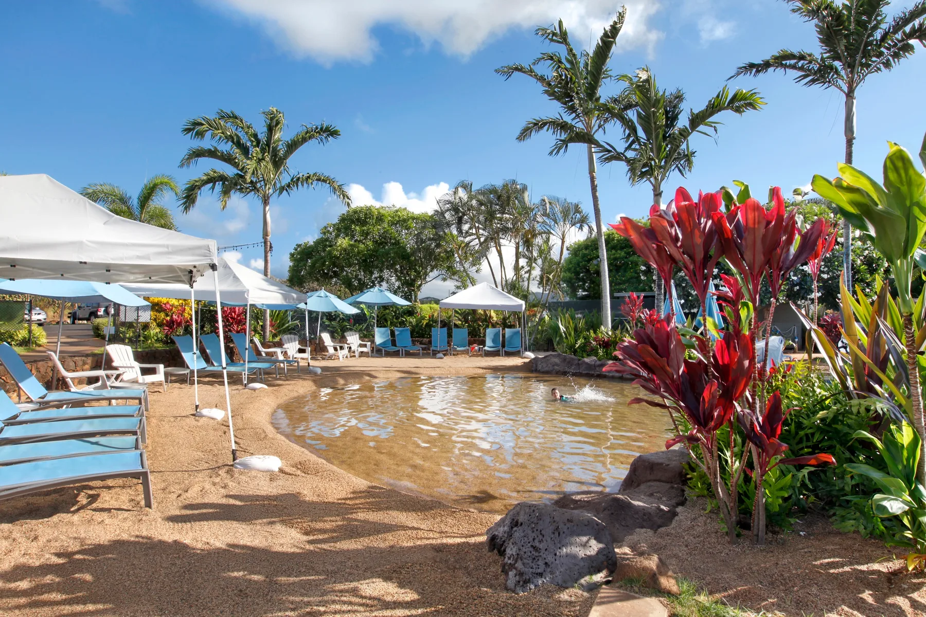 Una piscina exterior poco profunda está rodeada de asientos, sombrillas y plantas tropicales.