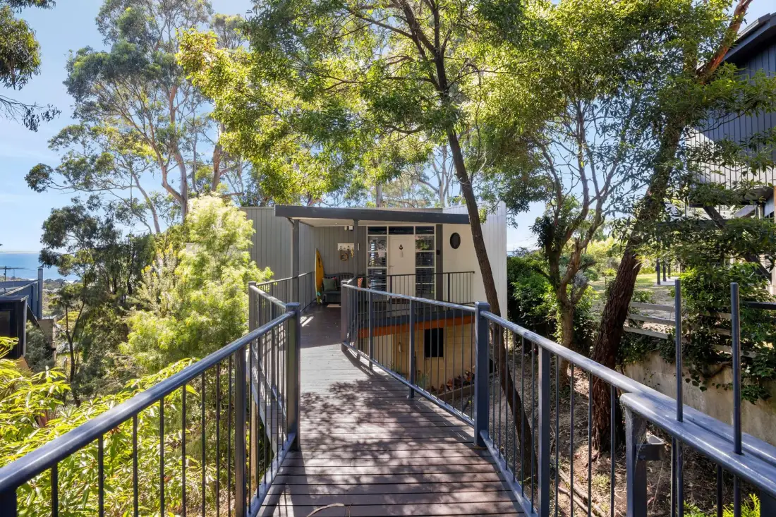 Un pasillo elevado al aire libre conduce a un pequeño edificio entre árboles frondosos.