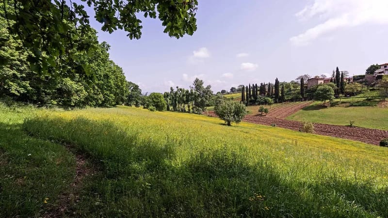 Charming Tuscan Tower with Private Pool
