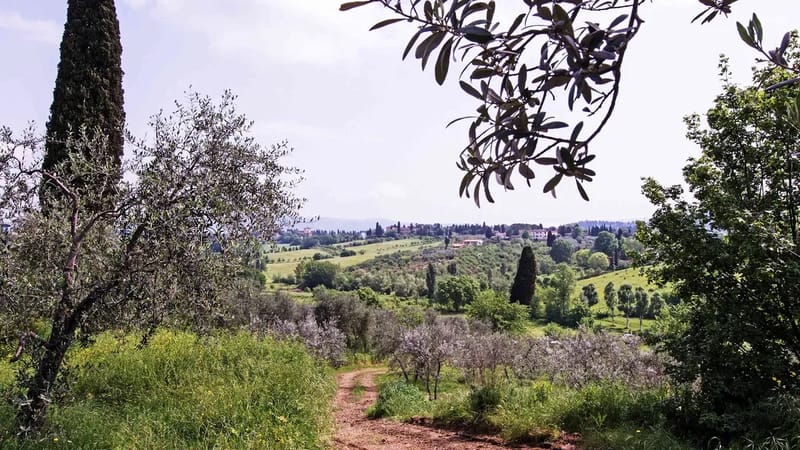 Charming Tuscan Tower with Private Pool