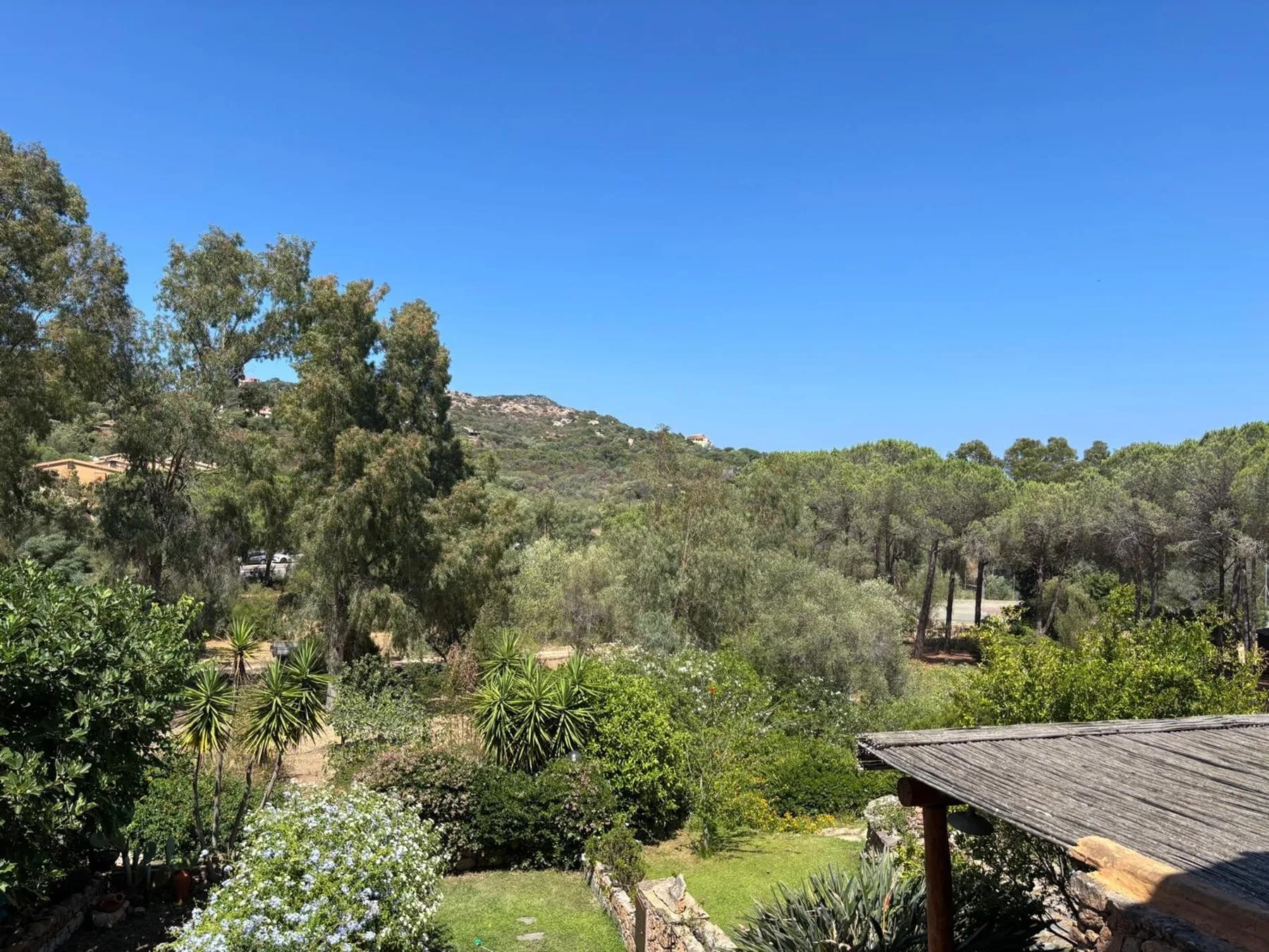 A landscaped garden with trees and shrubs beneath a clear blue sky.