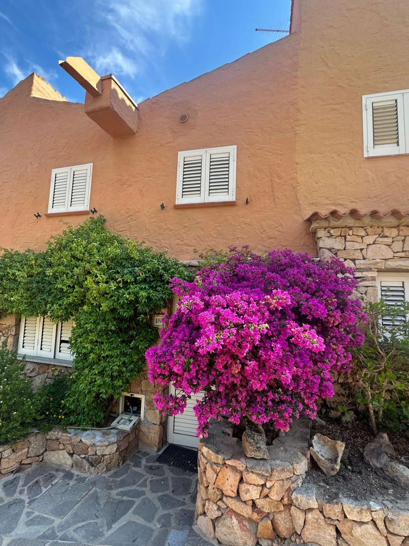 An exterior courtyard with flowering bougainvillea beside a stone-paved walkway.