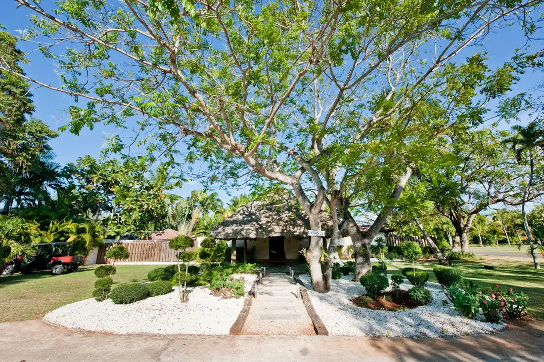 Un jardín paisajístico rodea un edificio bajo bajo un gran árbol frondoso.