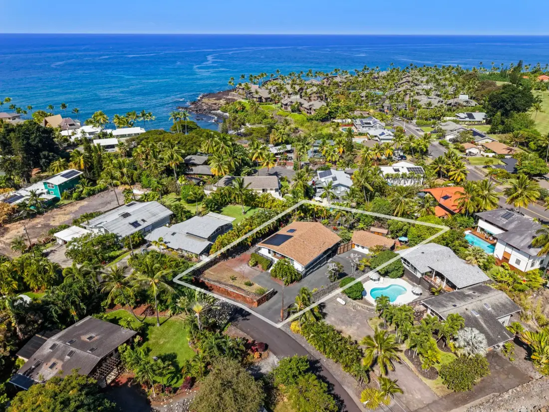 Aerial view of a coastal neighborhood with homes among palm trees.