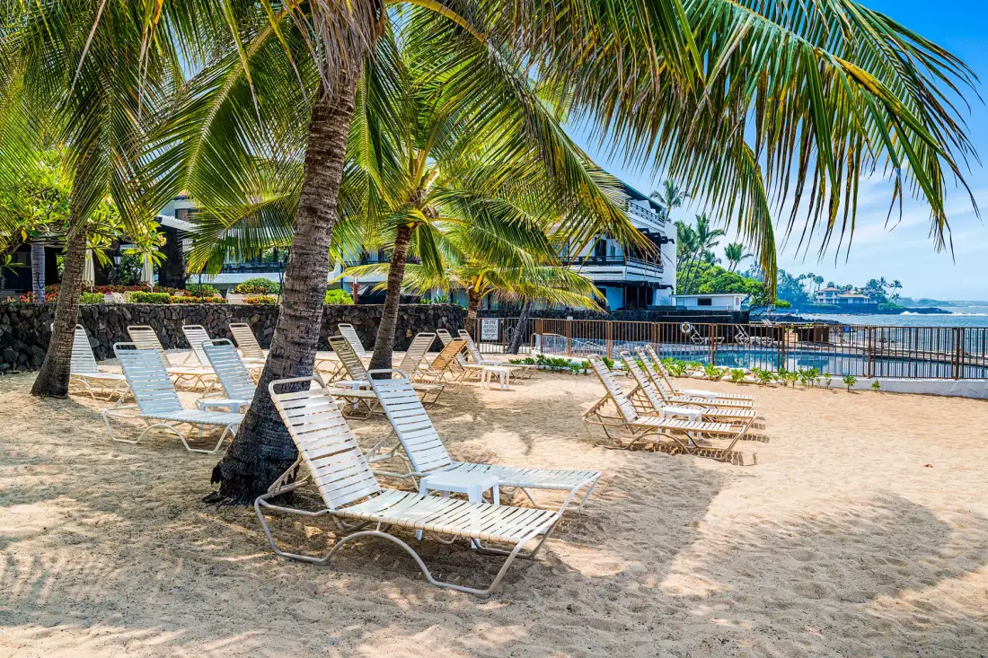 Una playa de arena con palmeras y tumbonas da al agua.