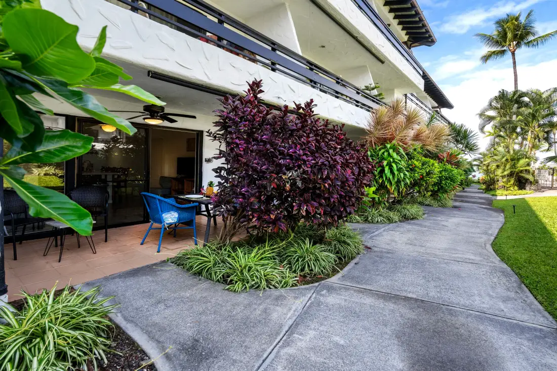 Un patio con asientos al aire libre da a un camino curvo junto a plantas tropicales.