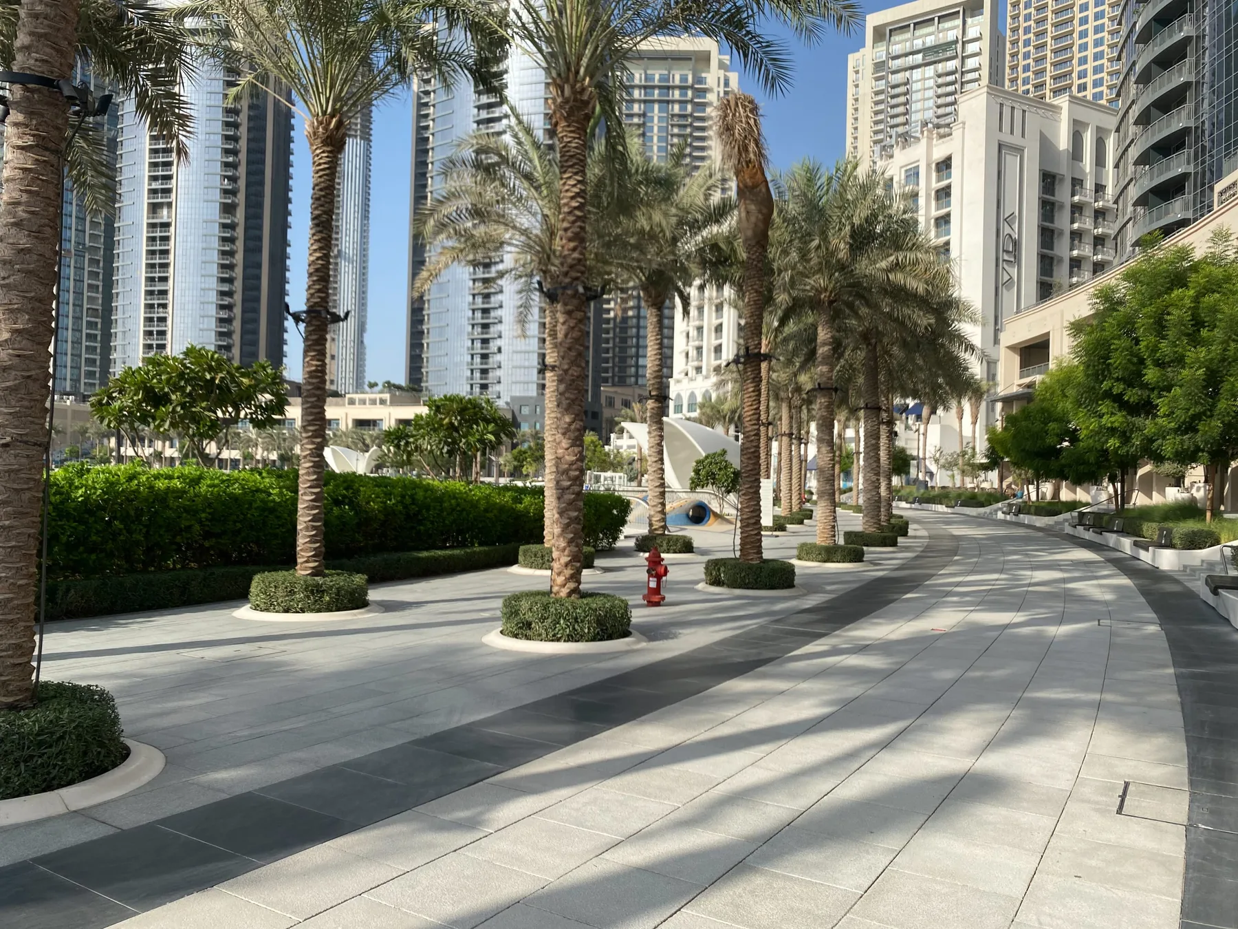 Un paseo peatonal pavimentado bordeado de palmeras y edificios altos.