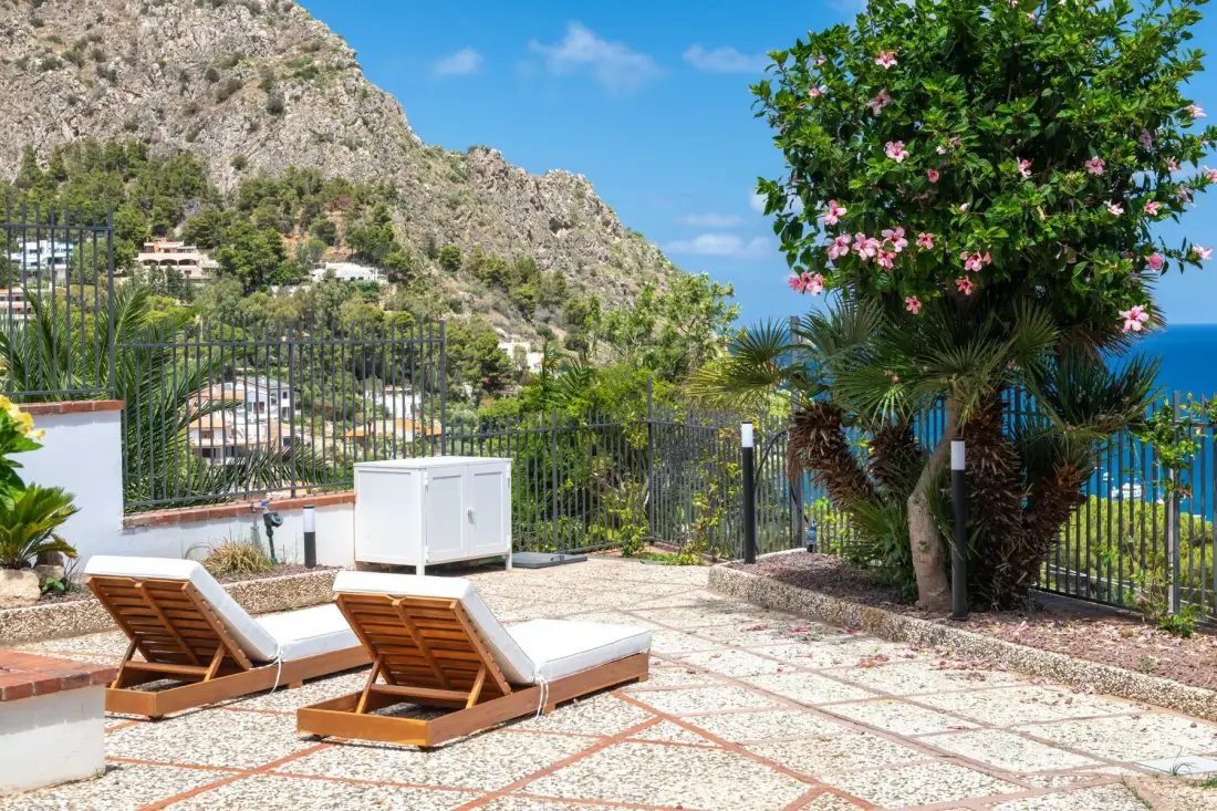 A sunlit outdoor terrace with reclining seating, a flowering tree, and a mountain view.