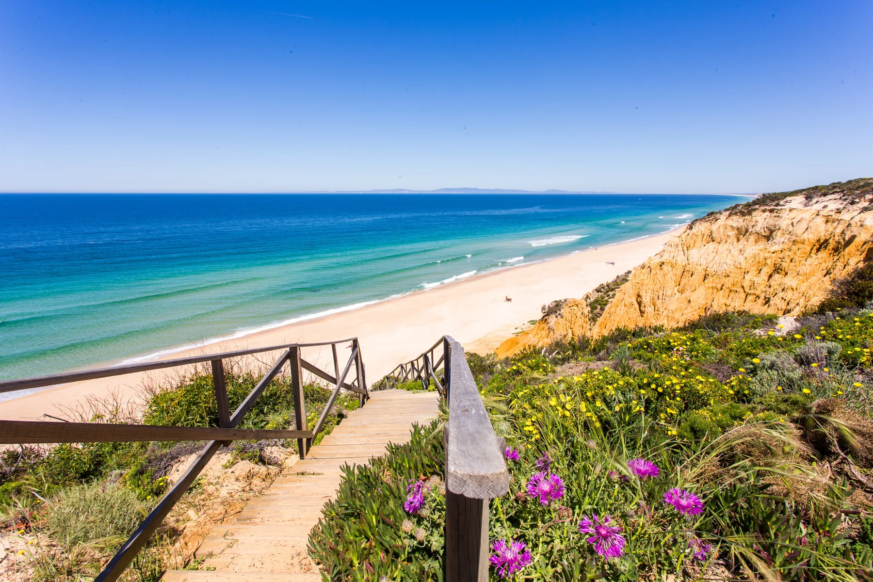 Una playa de arena y aguas turquesas se extienden bajo un sendero costero con flores.