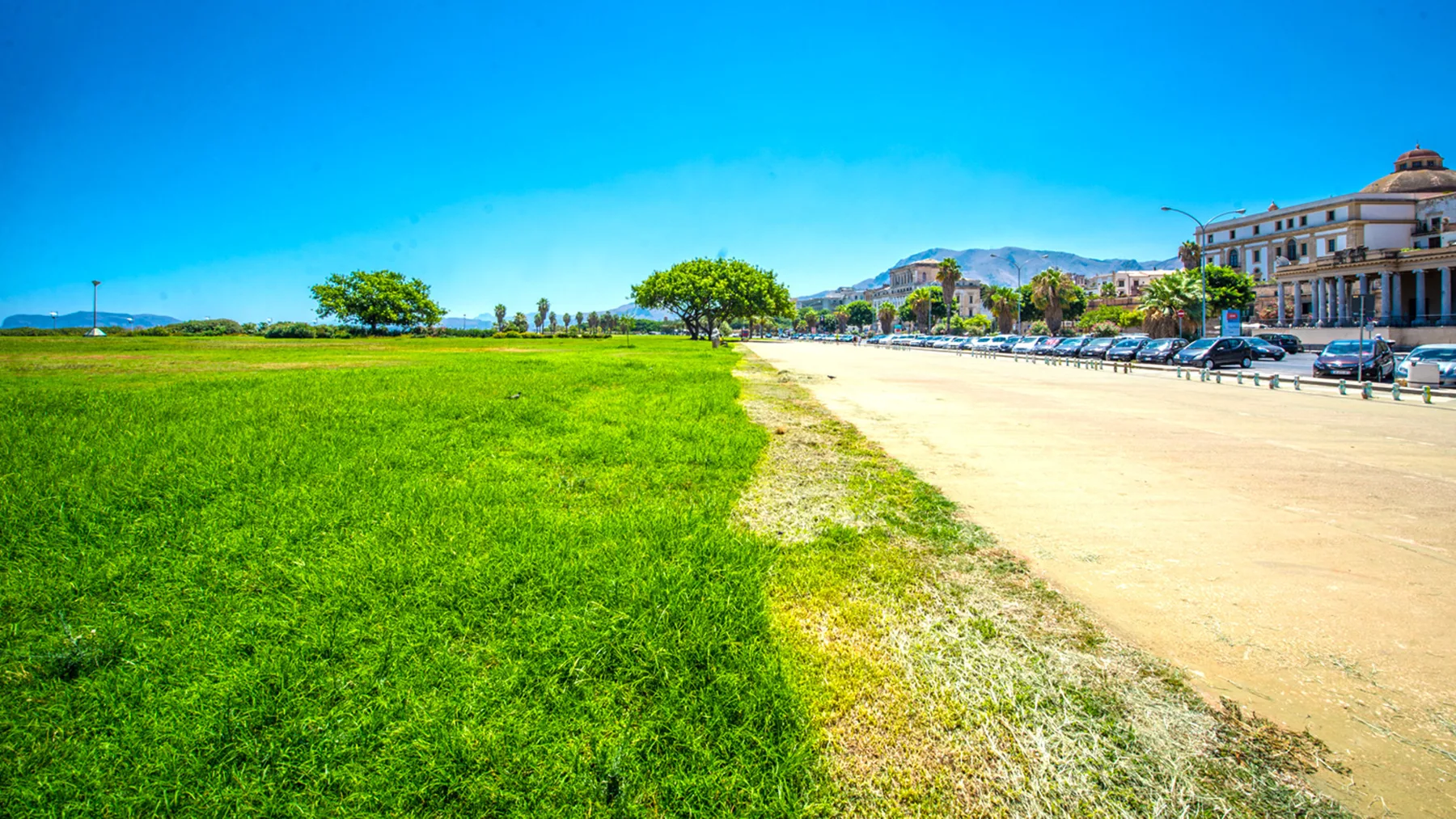 A sunny outdoor scene with a grassy field beside a broad paved walkway.