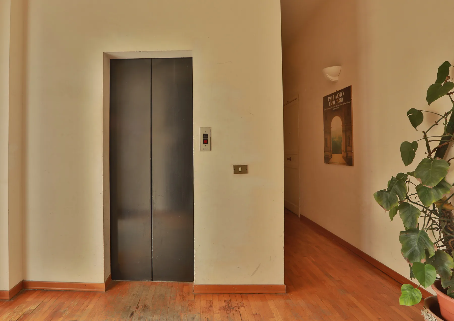 An elevator lobby with closed metal doors, a wall poster, and potted greenery.