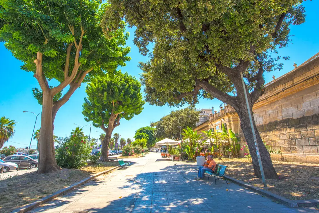 A shaded paved walkway runs between leafy trees and a stone wall.