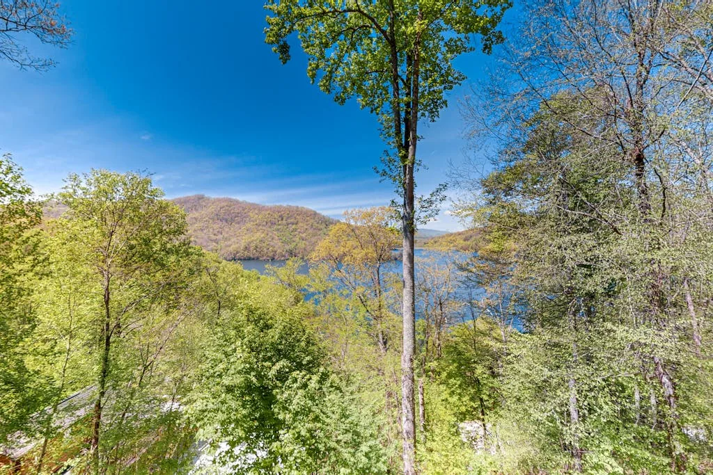 A wooded hillside overlooks a lake beneath a clear blue sky.
