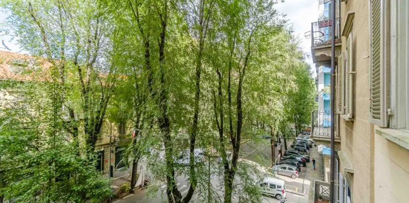 Una calle arbolada con coches estacionados, vista junto a un edificio.