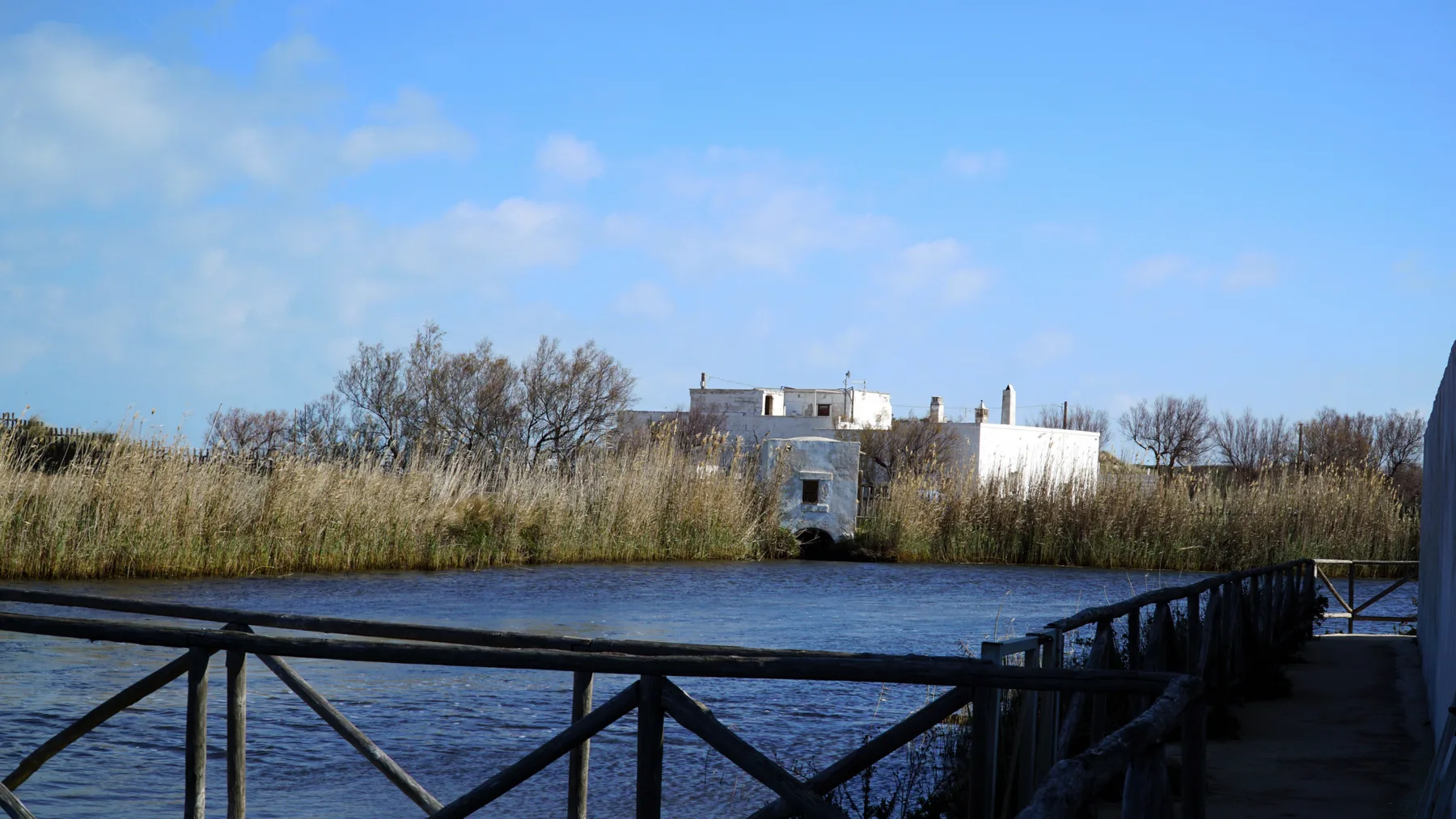 A waterside walkway with dark railings leads toward a white building among tall grasses.