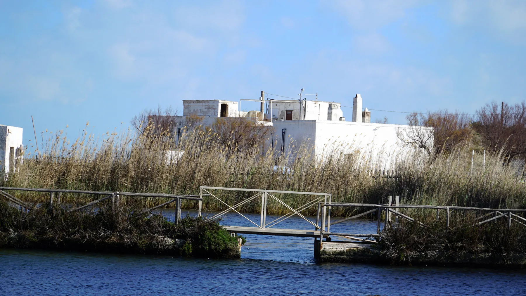 A waterside scene with a narrow footbridge crossing a channel through tall reeds.