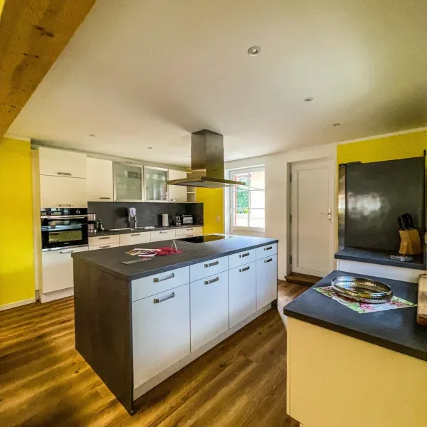 Deluxe family room kitchen