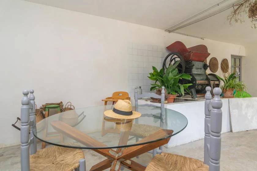 A dining area with a glass table and plants arranged on the counter behind it.