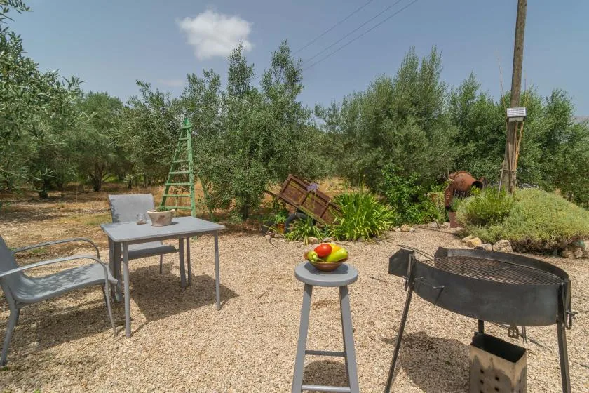 An outdoor garden seating and grilling area with trees and a small table.