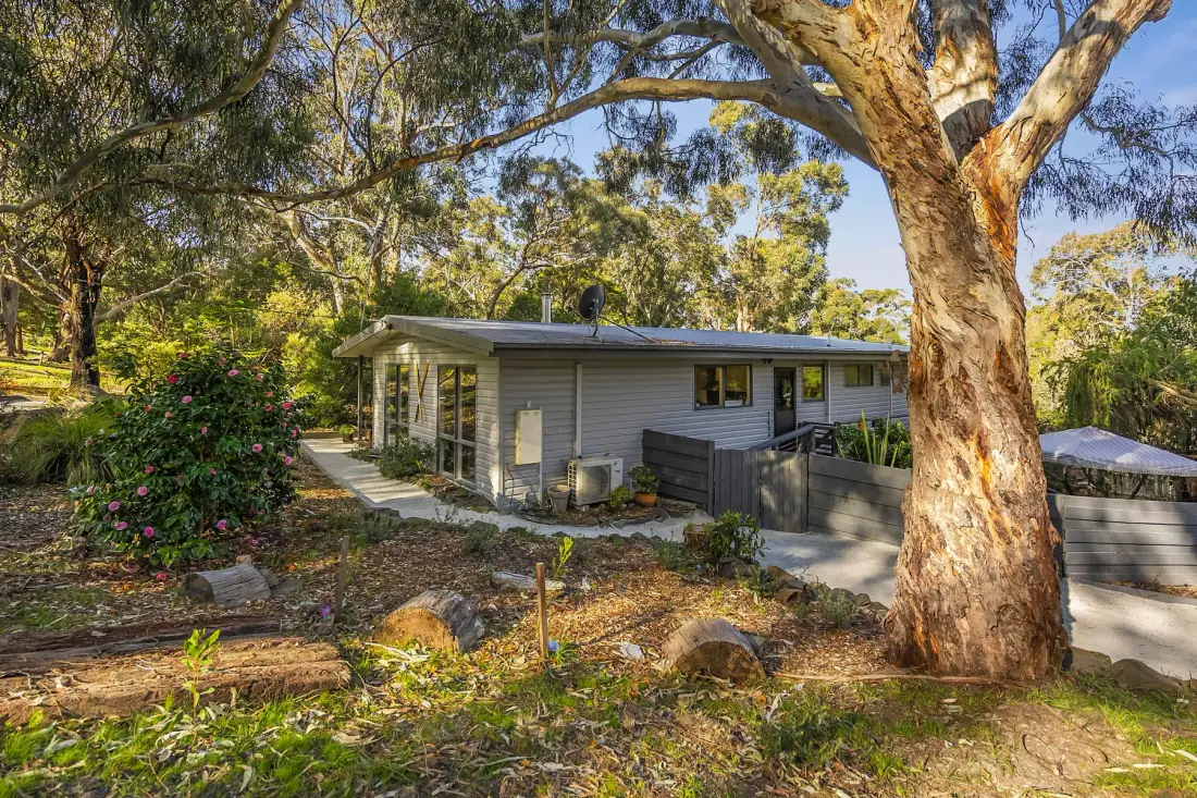 A low house sits among trees and garden plants.