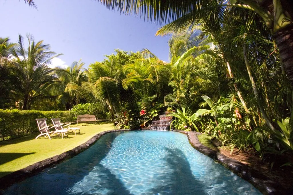 A swimming pool surrounded by tropical plants and a grassy seating area.