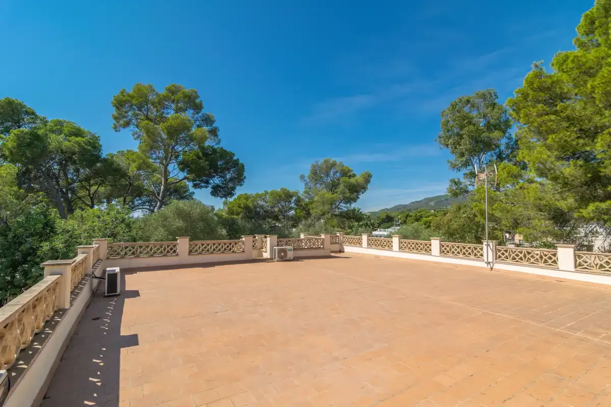 A spacious paved terrace overlooks trees beneath a clear blue sky.