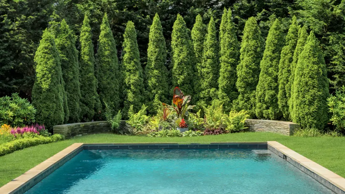 Una piscina al aire libre está rodeada de vegetación y árboles altos.