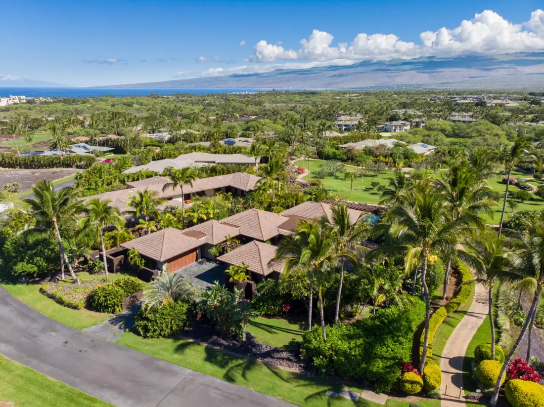 Aerial view of homes among palm trees, with the ocean and mountains in the distance.