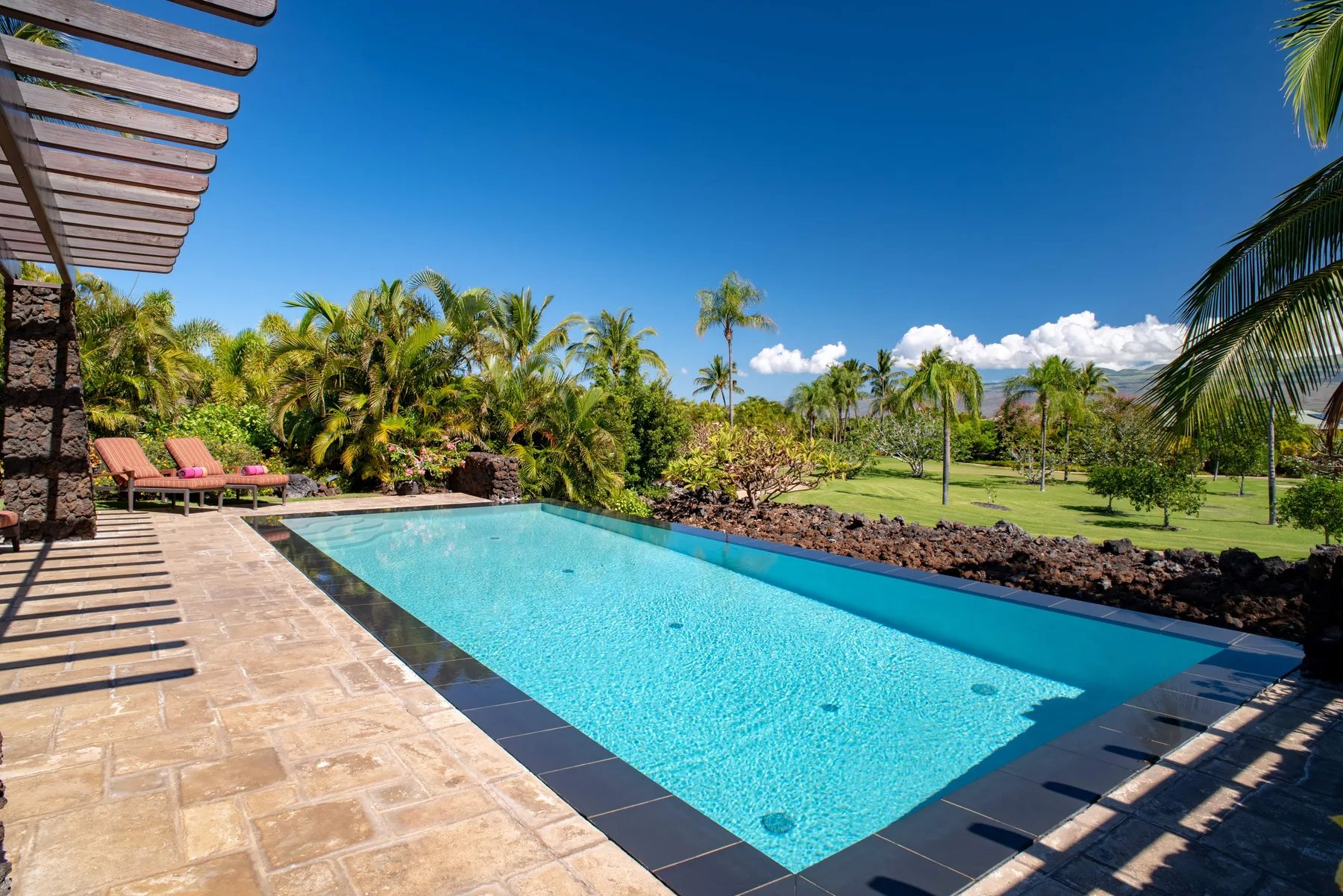 An outdoor swimming pool beside a paved patio, with tropical plants and lawn.