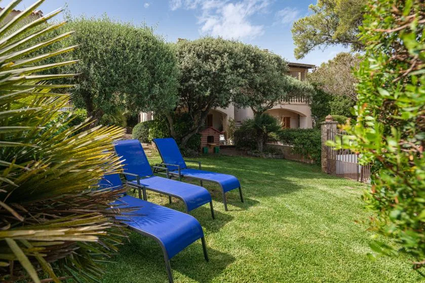 A garden courtyard with blue lounge chairs on the lawn.