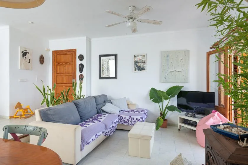 A bright living room with sectional seating, a television, and leafy plants.