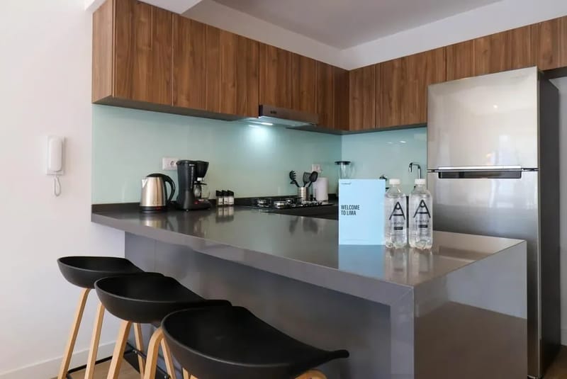 Fascinating 1BR with balcony in San Isidro
