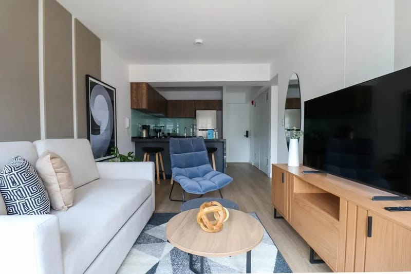 Fascinating 1BR with balcony in San Isidro
