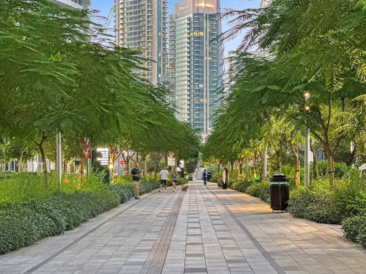 Un paseo peatonal pavimentado pasa bajo árboles frondosos y conduce a edificios altos.
