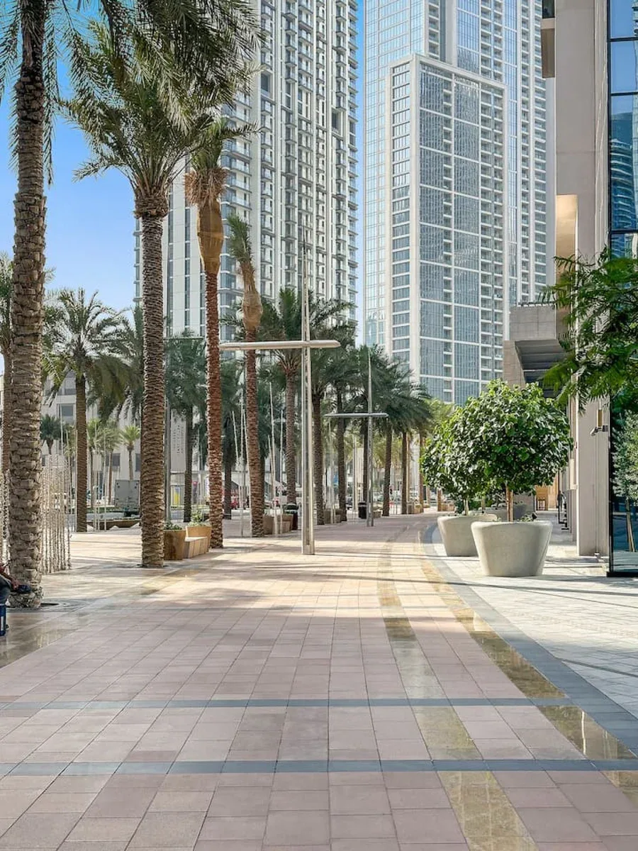 Un paseo peatonal pavimentado pasa entre palmeras y edificios modernos altos.