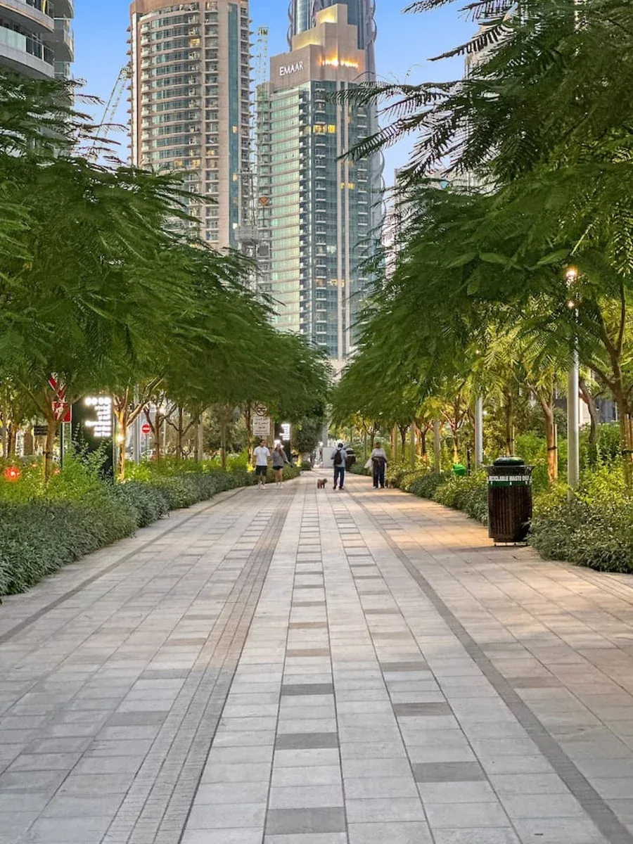 Un paseo peatonal pavimentado discurre entre árboles frondosos, con edificios altos al fondo.