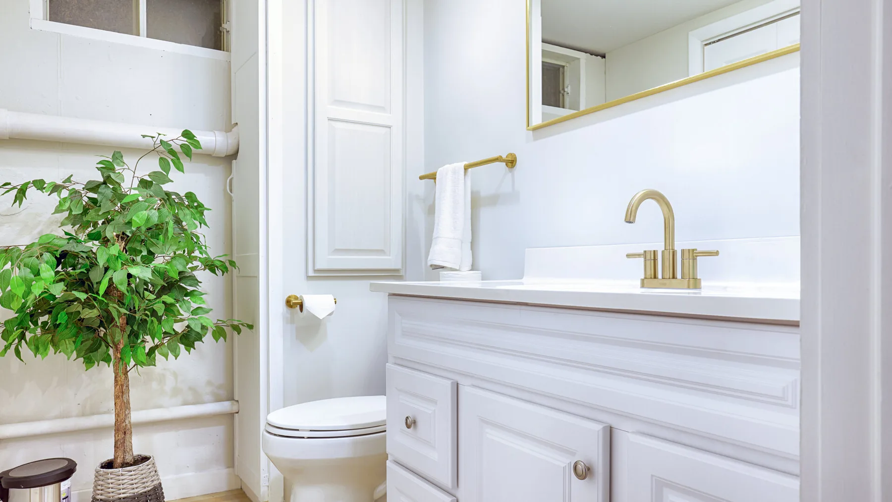 A bright bathroom with a white vanity, toilet, and leafy potted plant.