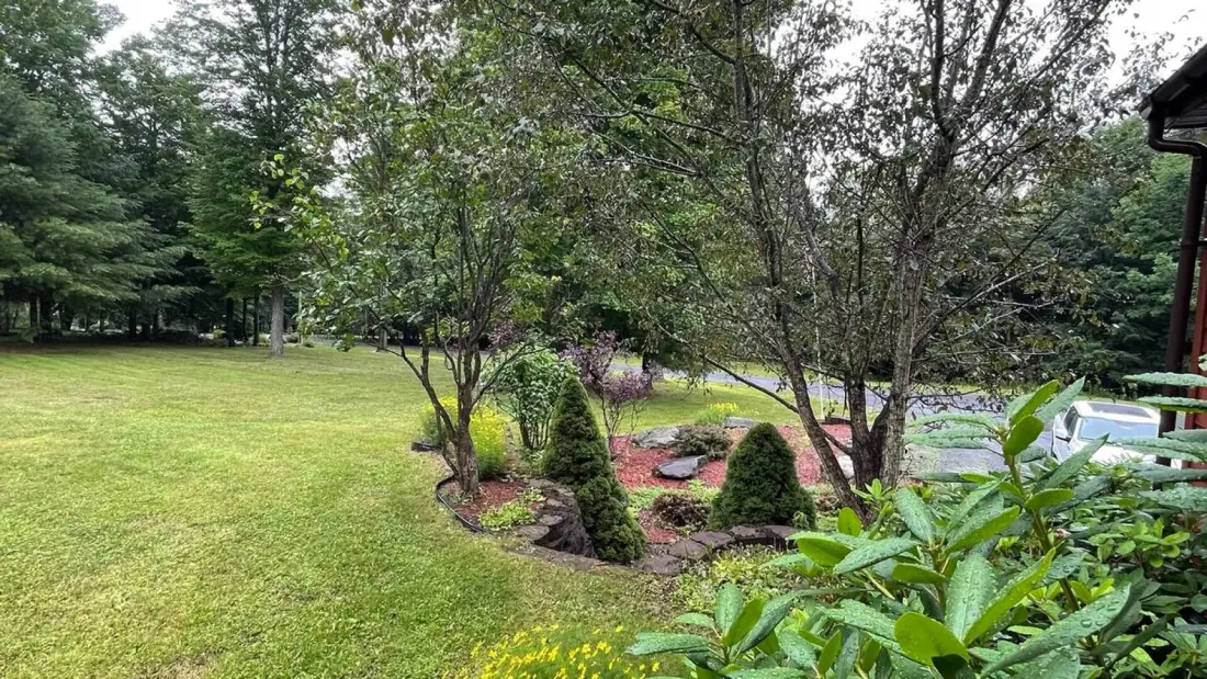 A grassy yard with trees and a landscaped garden bed.
