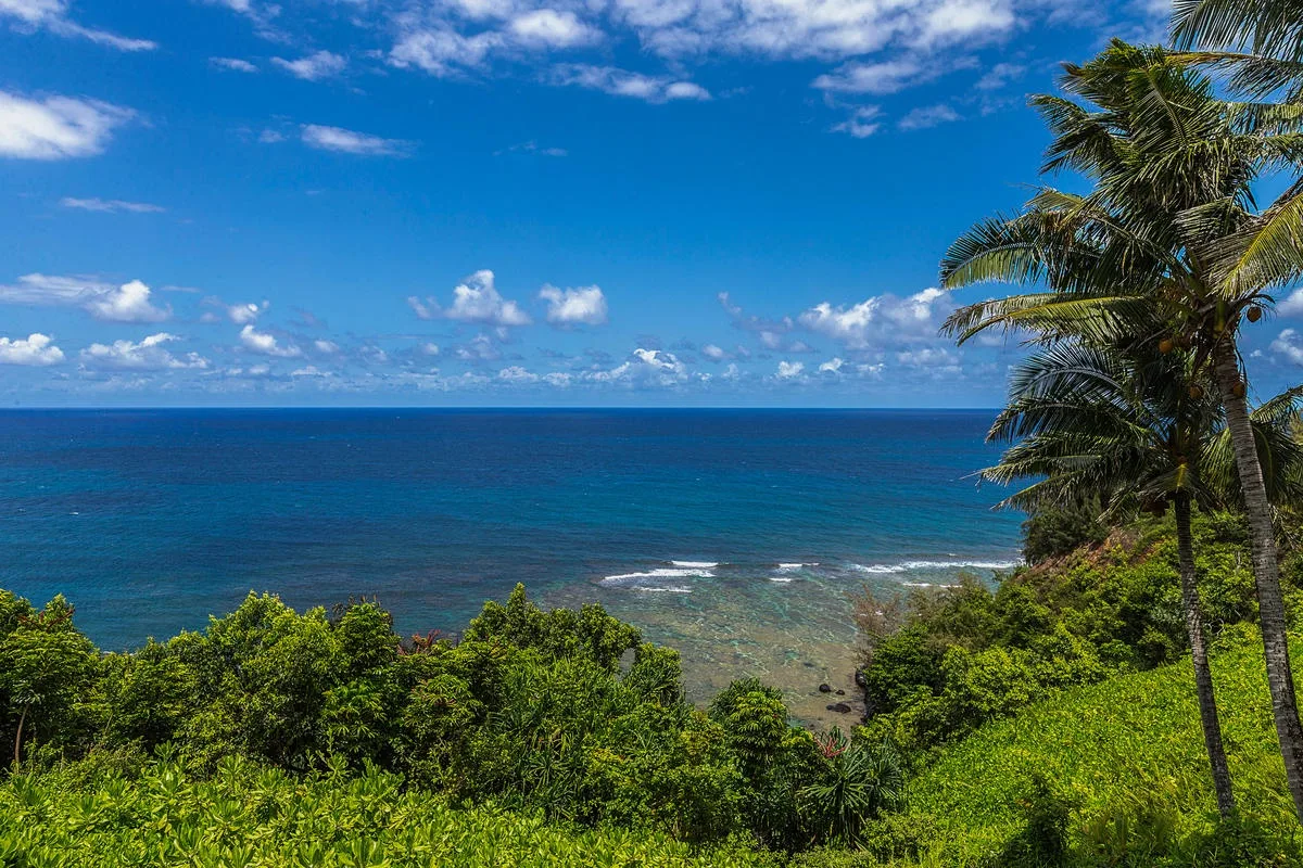 A coastal ocean view stretches beyond lush green vegetation beneath a blue sky.