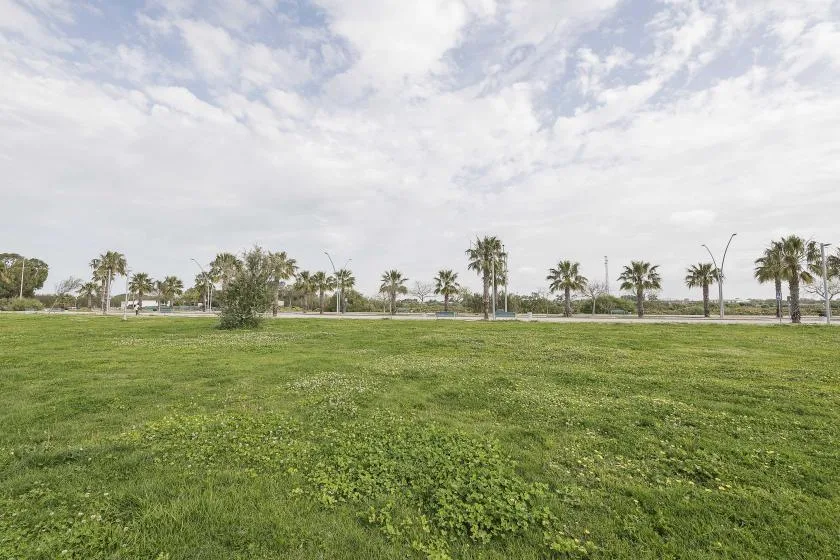 Un amplio campo de hierba se extiende hacia una fila de palmeras bajo un cielo nublado.