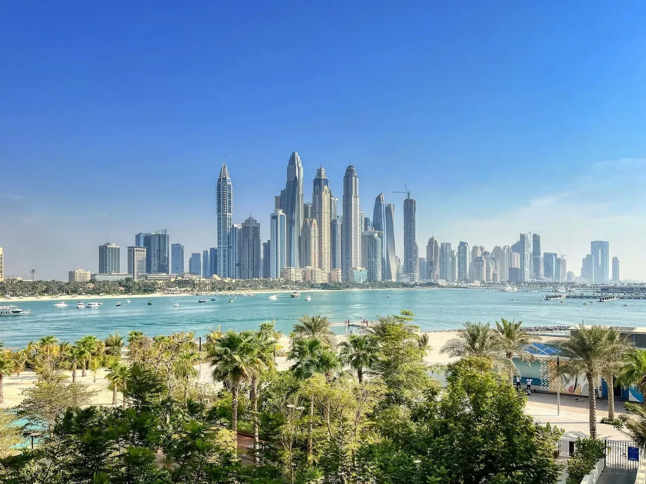 Un horizonte urbano se alza más allá de una bahía azul y un parque con palmeras.